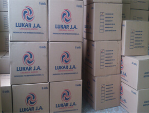 Lubricantes Transporte liviano